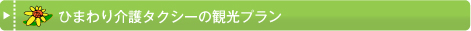 ひまわり介護タクシーの観光プラン